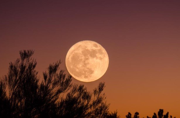 Full Moon and Meditation Golden Flame of Illumination April 5th 7:00 PM MST