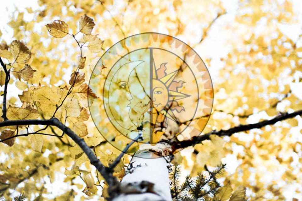 Autumn Equinox Celebration September 22 + Golden Flame of Illumination Meditation