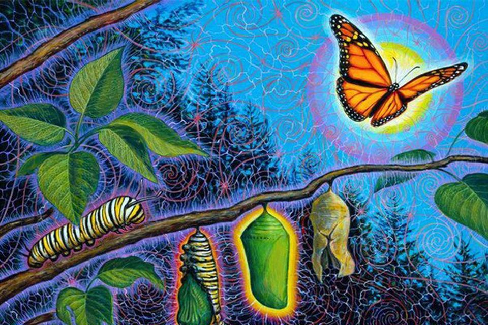 Life's Layers + Meditation Golden Flame of Illumination April 29th 7:00 MST