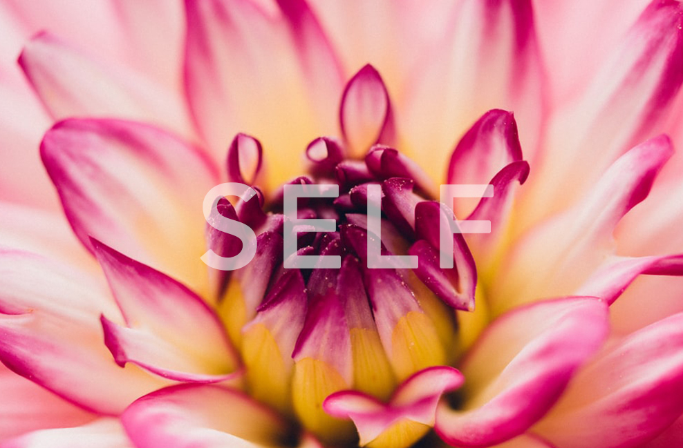 Opening Up to a Deeper Sense of Self + Meditation, December 1st