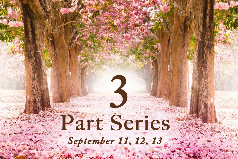 A Journey of Discovery ll: Pathway of the Heart – 3 Part Series, September 11th/12th/13th + Golden Flame of Illumination Meditation