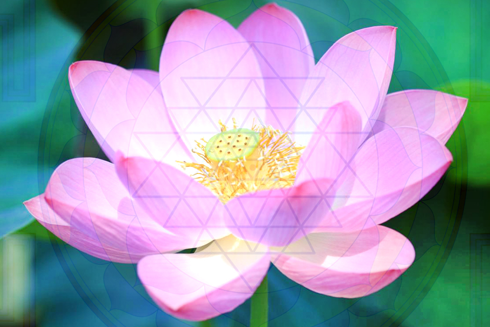 Are you Emerging as the New You + Golden Flame of Illumination Meditation Wednesday, July 29th