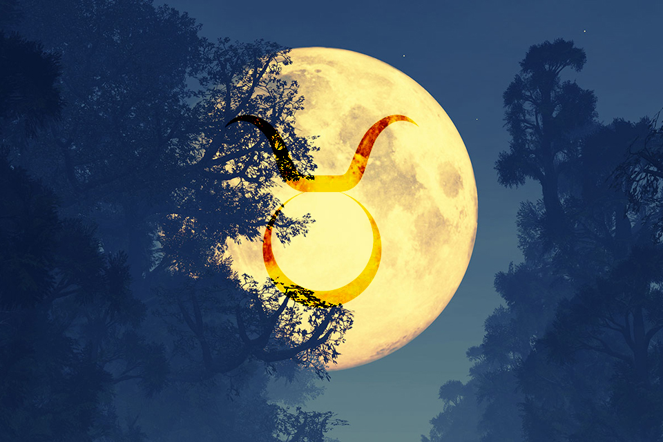 Full Moon Meditation, October 31st