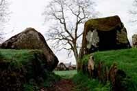 Lough Gur, Stone Circle