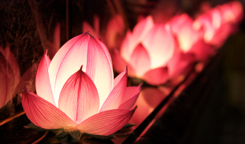 The Magic of the Wesak Festival: Celebrating Buddha’s Birth, Enlightenment, and Passing