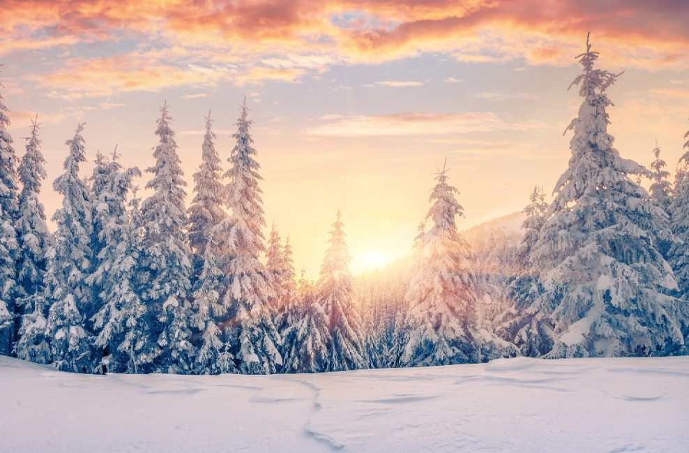 Winter Solstice + Meditation, December 21st