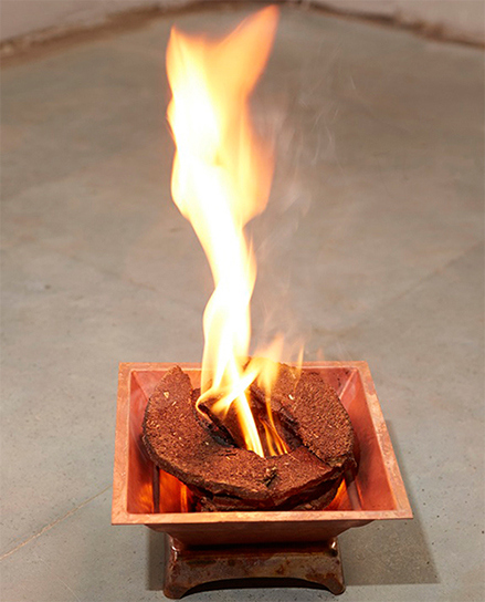 Agnihotra fire prepare 5